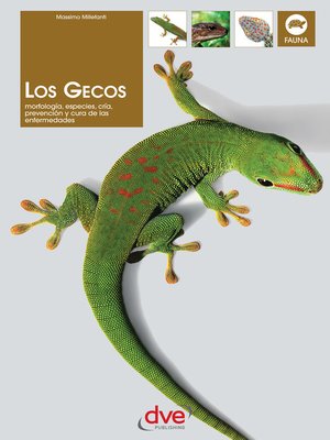 cover image of Los gecos